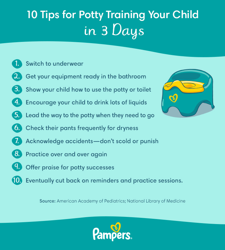 Best Potty Training Methods